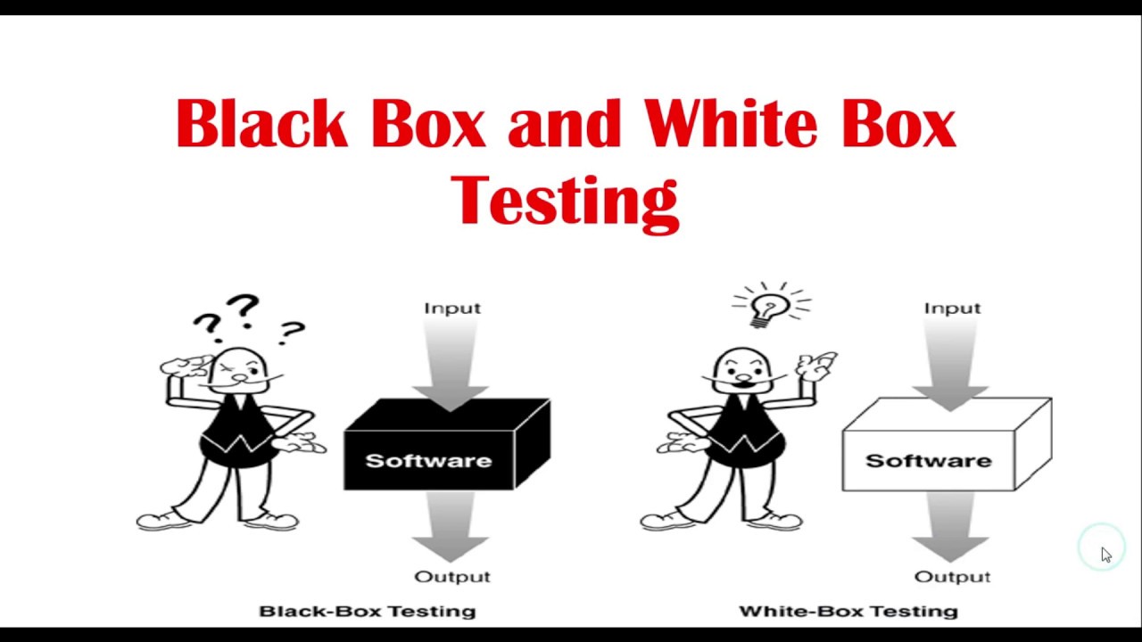 Black Box And White Box Testing?