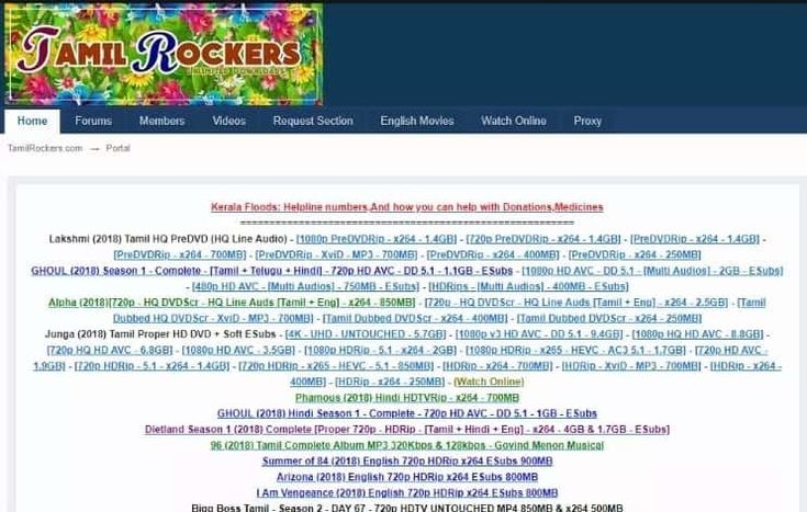 Why Tamilrockers is a popular choice for movie piracy