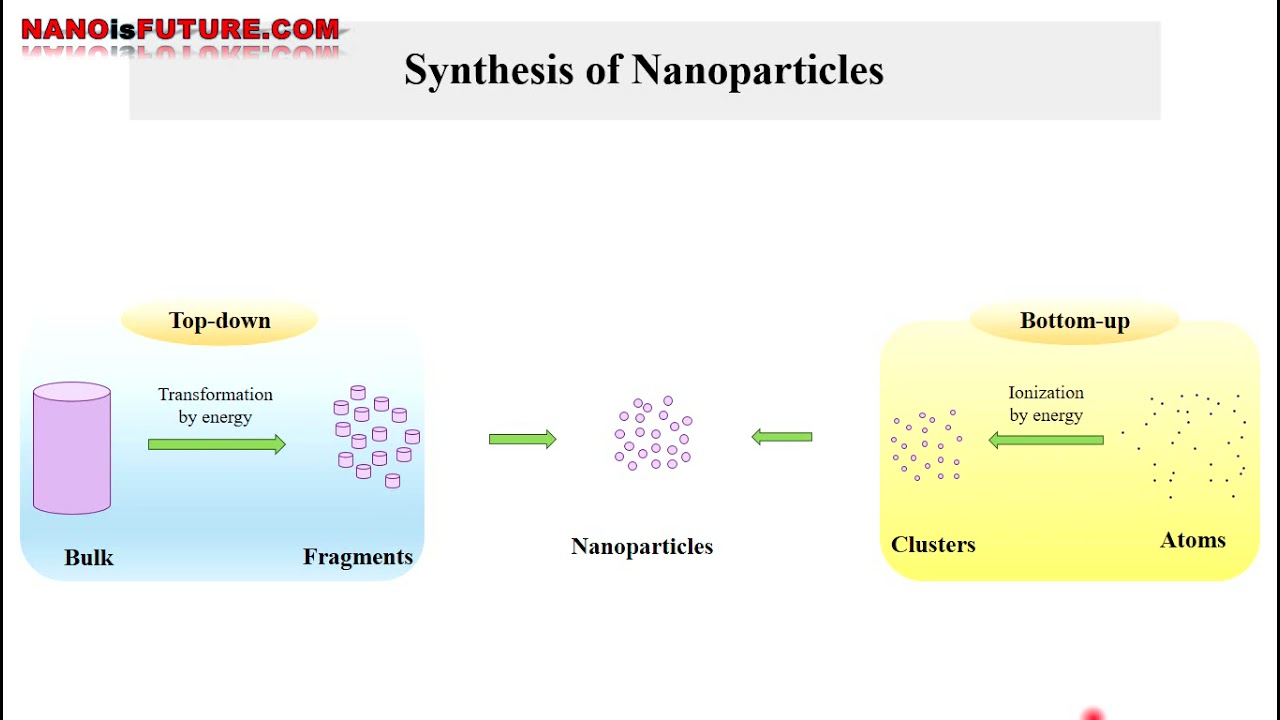 Revolutionizing Medicine: Vaccines and therapy in immunology by synthetic nanoparticles.