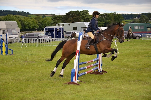 The Importance of Age-Appropriate Kids Horse Jumps
